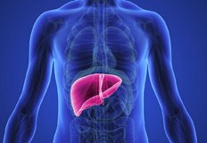 Той е на не повече от три години независимо от