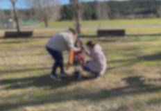 Детето което има две майки засега не съществува в правния