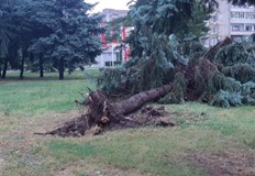 Служители на Общината пожарна безопасност и много доброволци се борят