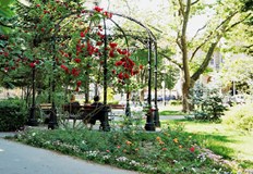 Три нови случая на коронавирус в РусеТова показва Националната информационна