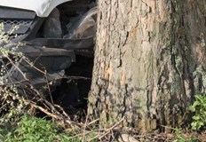 Млад шофьор се заби в дърво след като блъсна друга