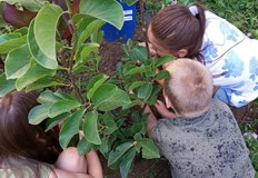 Лятна академия за деца В чудния свят на растенията се