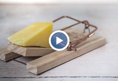 Цената на сиренето и кашкавала расте Сред причините е по скъпото мляко