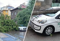 Срокът за подаване на заявления е удължен от 7 дни на