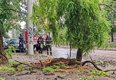 Над 300 работници разчистват в РусеС 50 служители автовишки и