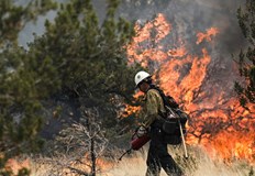 Това заяви кметът Роберто Гуалтиери във връзка с потушен пожар