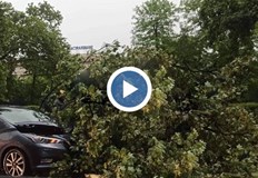 Силна буря удари столицатаДърво падна върху движеща се кола в