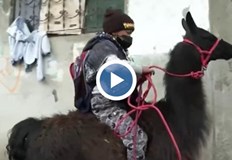 На детето му омръзнало да ходи по един час за