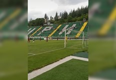 Лисица се оплете в мрежата на една от вратите на