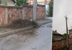 Според живущи гнездото е отрязано в основата което е причина