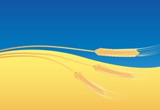 Според Киев не е ясен пътя на пшеницата през турските