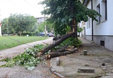 Бурята нанесе много щети в крайдунавския градНевзривена ракета е паднала