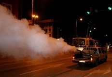 В периода 7 10 юни предстои дезинсекция срещу комари