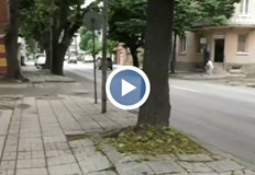 Намериха две малки деца на 1 и на 7