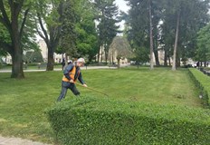 Седмичен график на дейностите по косене на тревните площи в