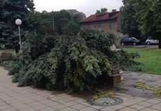 Продължава разчистването след бурята в РусеМобилизираните сили на Община Русе