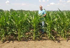 С промените в климата и високите производствени разходи все повече