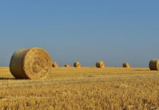 Най висока е цената в Сливо поле и БоровоСредната цена на