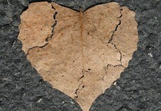 При проблеми със сърцето тялото ни изпраща сигнали Важно е да