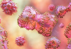 До момента са установени над 3200 случая в различни държавиВирусът