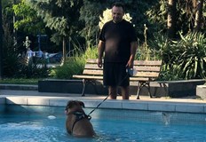 Русенец си пусна кучето във фонтан в центъра на градаЗа