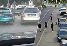 Множество нарушения на шофьори дадоха повод на Златомира Стефанова да