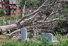 Гробищен парк Чародейка в Русе е пострадал тежко при бурята в понеделник Заради