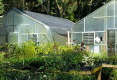 Оцет хербициден сапун и сода за хляб са естествени убийци