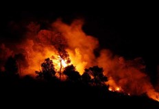 Причината е че гореща вълна повиши температурите в района до рекордни