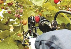 Fieldwork Robotics дъщерно дружество на университета в Плимут комерсиализира своите