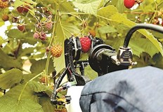 Fieldwork Robotics дъщерно дружество на университета в Плимут комерсиализира своите