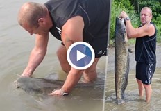 Дунавският цар падна в плен на кльонк около остров БатинРусенецът