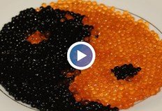 Напук на песимистите в България има предприемачи които рискуват всичко