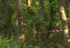 Открити са още три тела в гората край село КлисураНови