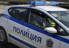 В РУ Бяла разследват сигнал за застреляно куче в