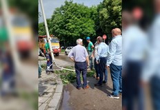 Русе след бурята Продължава премахването на паднали дървета в целия град