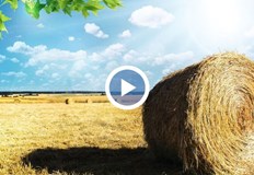 Рекордно поскъпва земеделската земя в община Русе за първите 6 месеца на