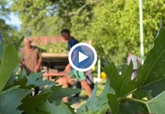 Мощна буря удари Югозападна България снощи Вятърът е бил най силен в