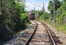 Видимостта на камиона е била намалена заради храсти и ударът