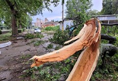 Градушка с размера на лешник се изсипа над ВидинБурята удари областния