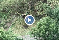 Както съобщи рано тази сутрин мощна буря премина през Русе Силни ветрове
