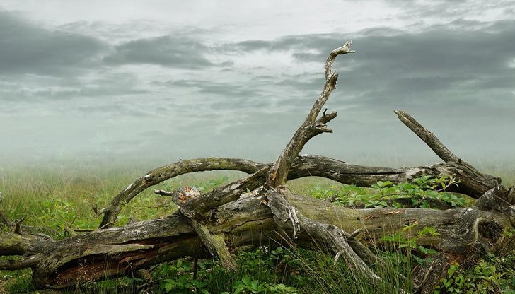 Питейната вода е под режим