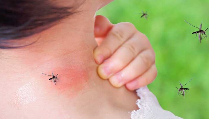 Комарите реагират на уреята – азотни съединения, които се отделят с потта