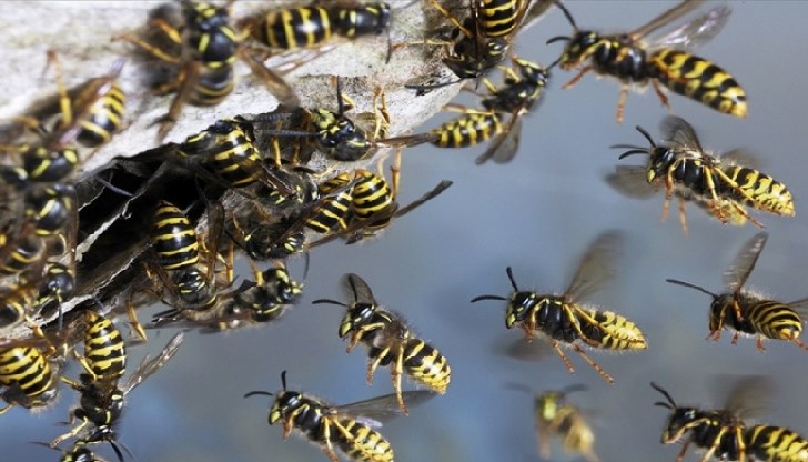 Опасността е премахната / Снимката е илюстративна