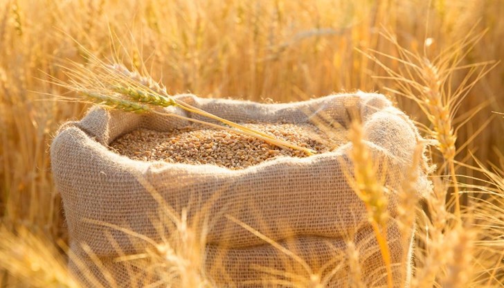 Недостигът на зърно, причинен от войната, ще доведе до „тежко положение в световен мащаб“