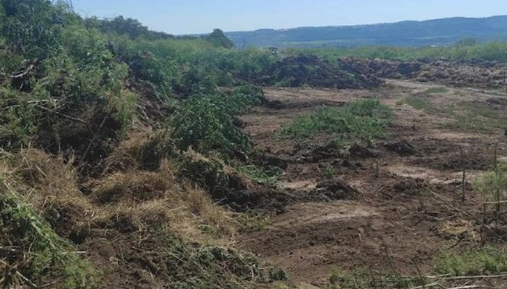 Предприети са мерки за екологична сигурност Предприети са мерки за екологична сигурност