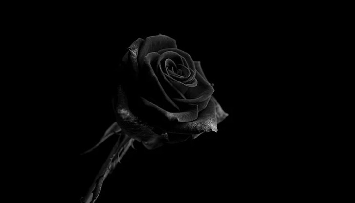 Тялото на актрисата било намерено в река в Ню Йорк Тялото на актрисата било намерено в река в Ню Йорк