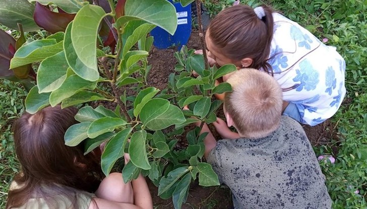 Лятната академия е безплатна