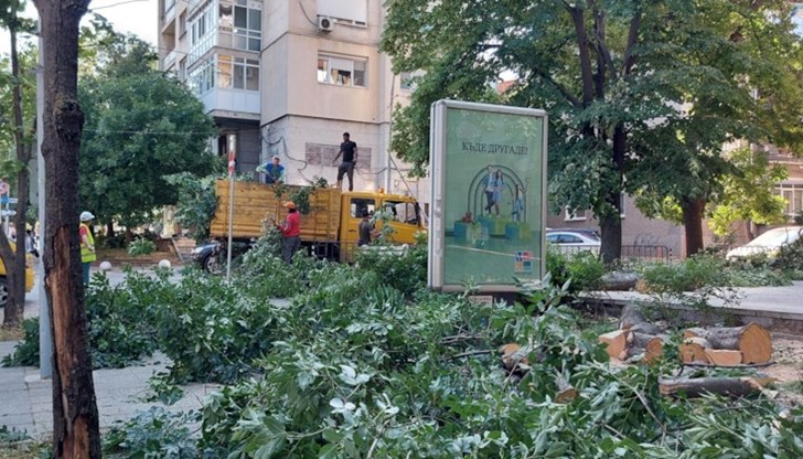 Подадени са близо 260 сигнала. Комисия ще оценява щетите