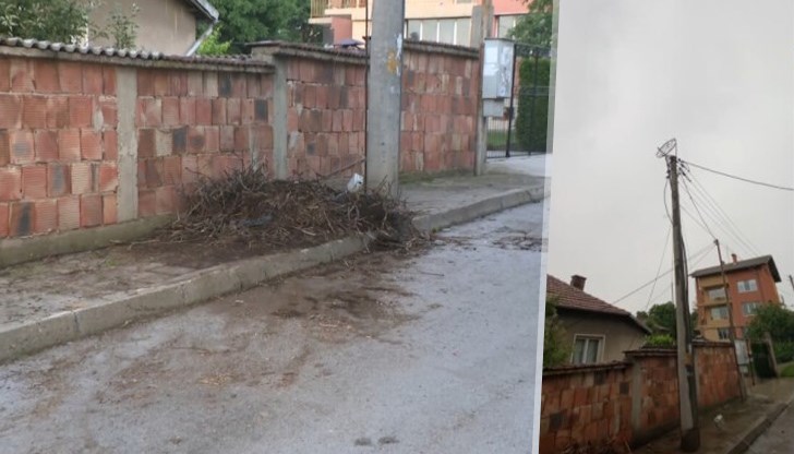 Според живущи гнездото е отрязано в основата, което е причина да падне след бурята